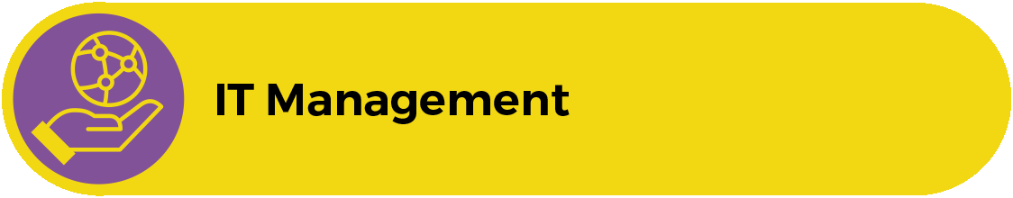 IT Management