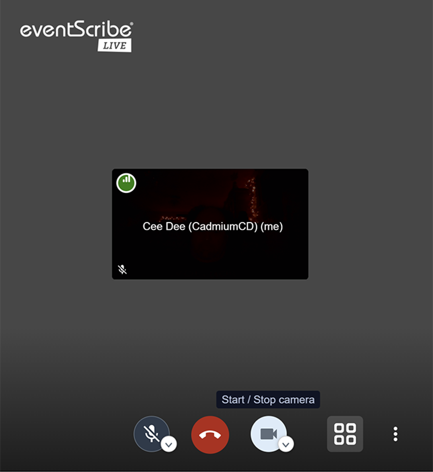 Inside the Video Chat Room
